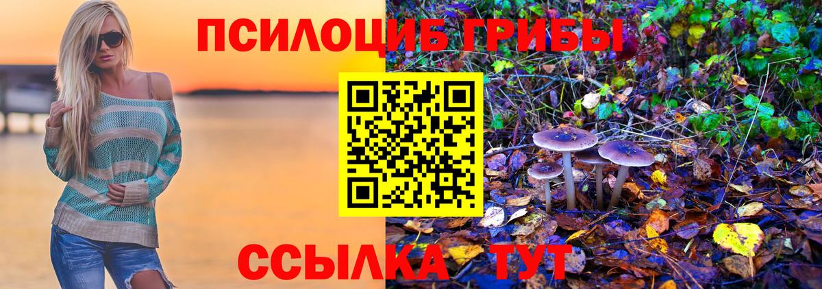 Псилоцибиновые грибы Psilocybine cubensis Людиново