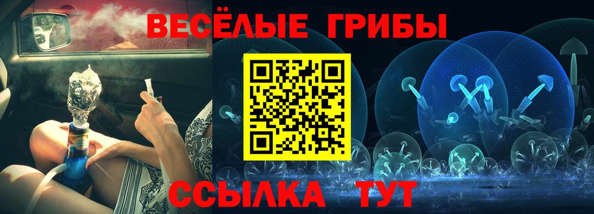 Псилоцибиновые грибы Cubensis  Вход с VPN  Псилоцибиновые грибы GOLDEN TEACHER  Людиново 